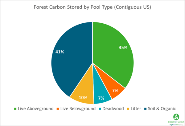 Carbon_Sep_2022_1
