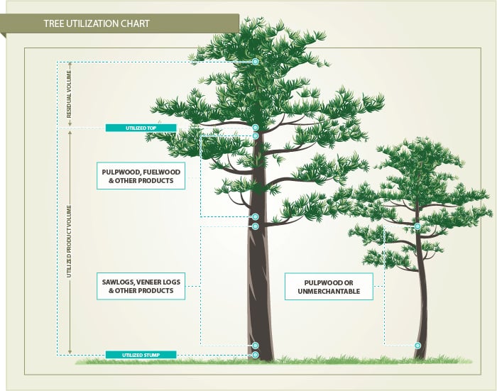 Tree_Inventory_Utilization_rev