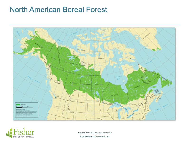 Boreal forests