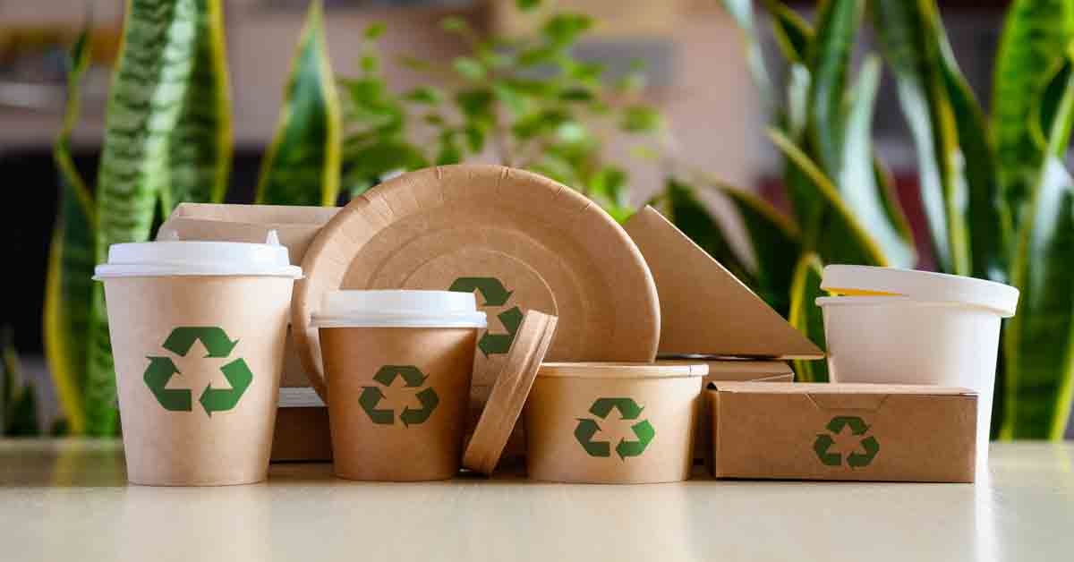 Recyclable to-go food and drink containers made of sustainable materials. 